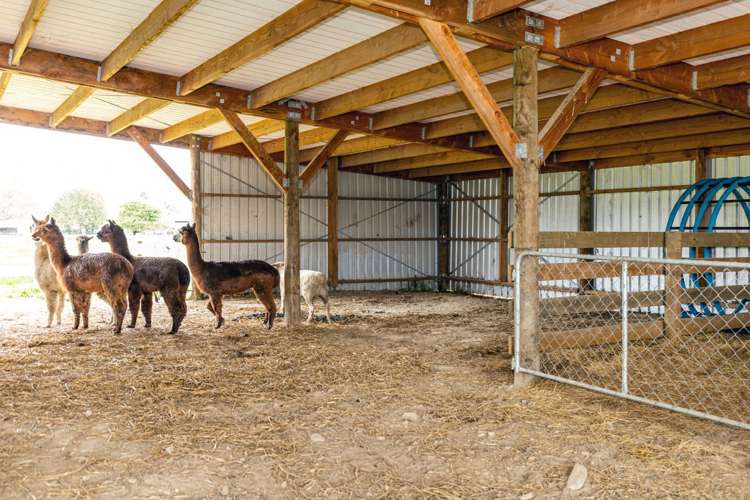 18 Nixons Road Fairlie_16