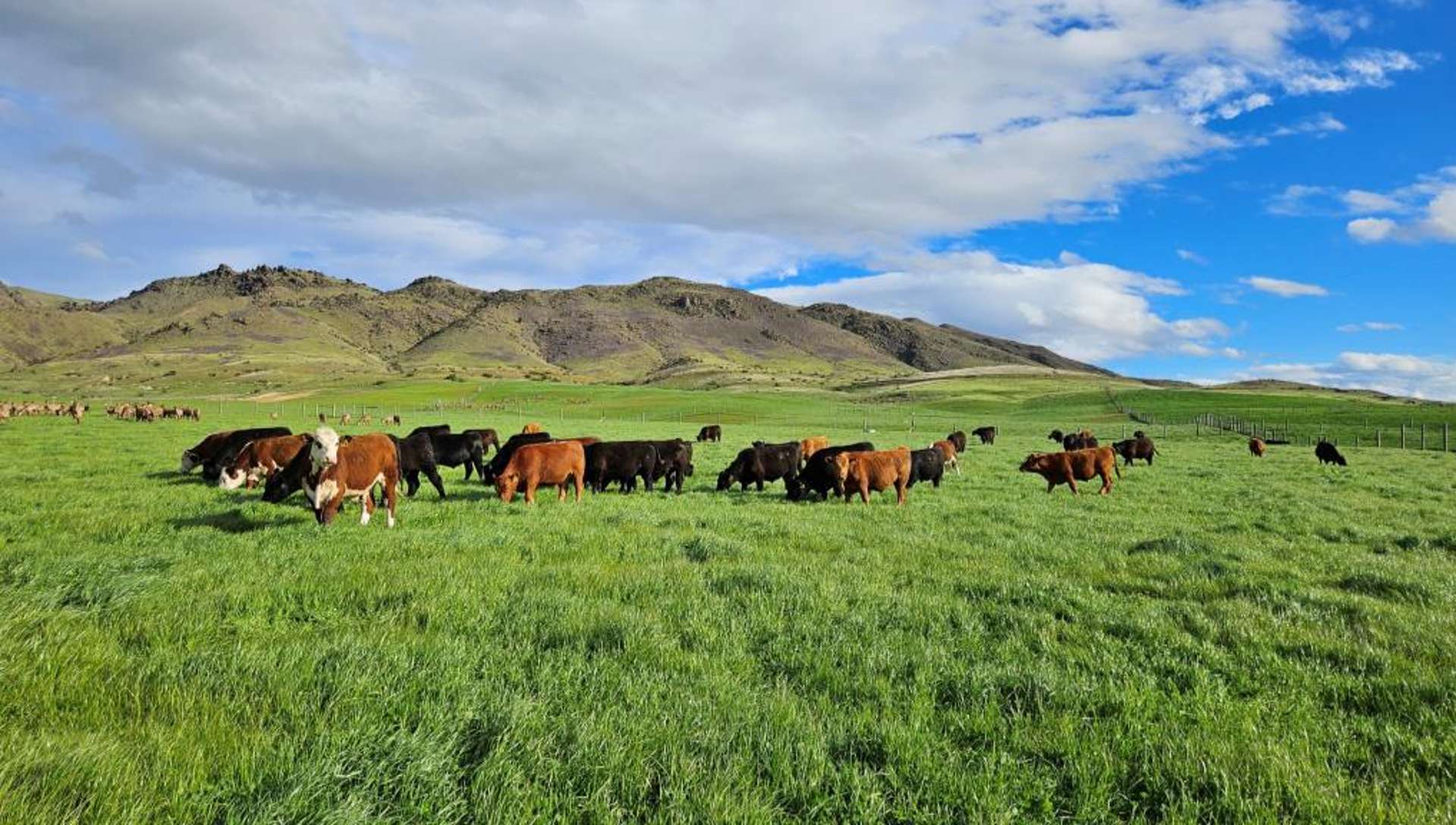 580 Crawford Hills Road Galloway_0