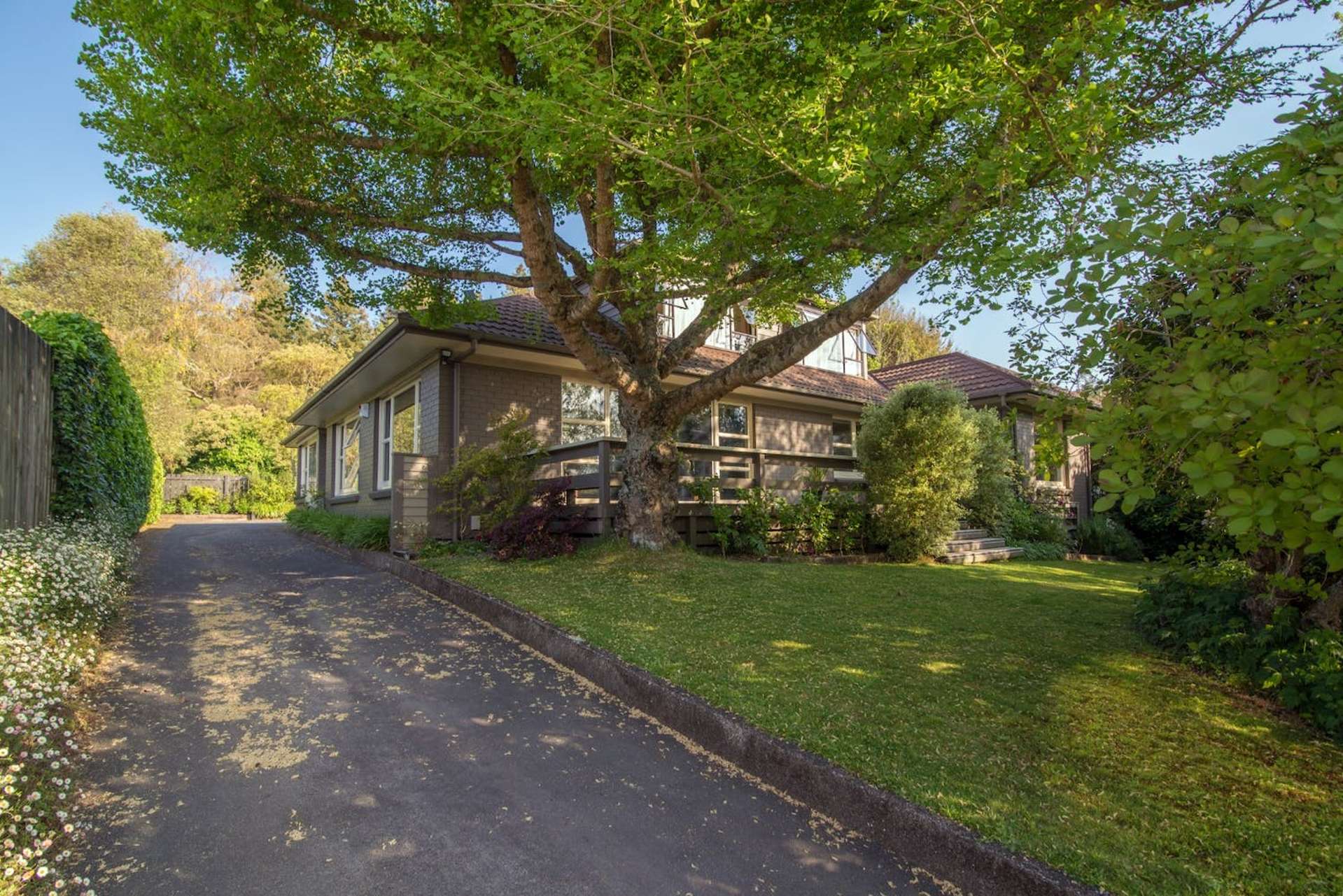 8 Awatea Terrace Lynmore_0