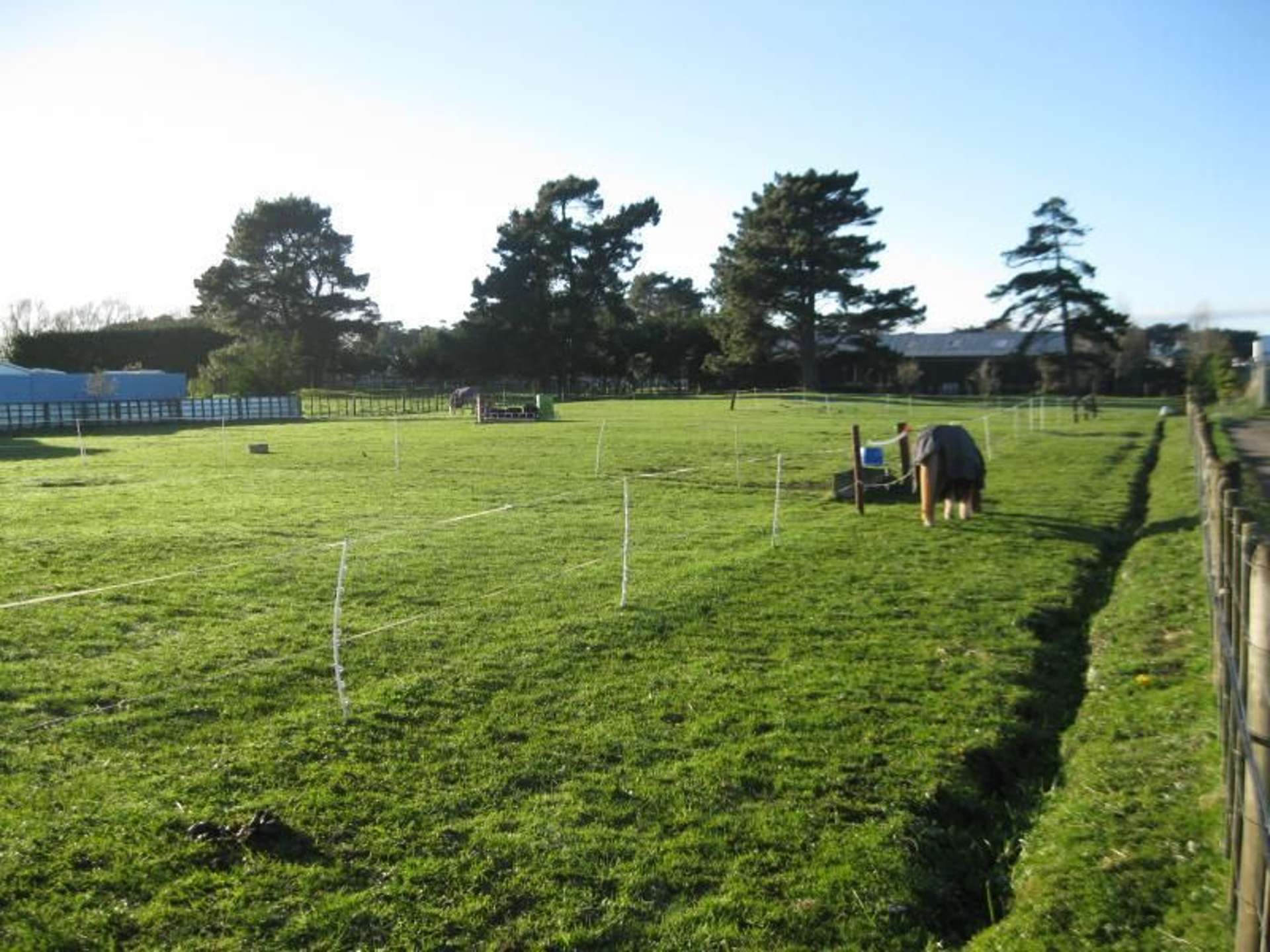 10 Spring Street Foxton_0