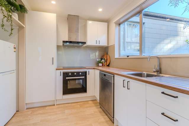 8/84 Warrender Street North Dunedin_1