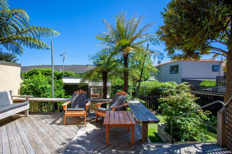 65 Point Road Monaco_12