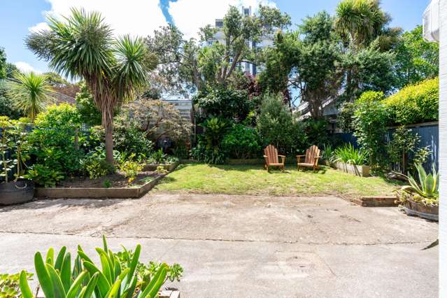 36 Aro Street Aro Valley_4