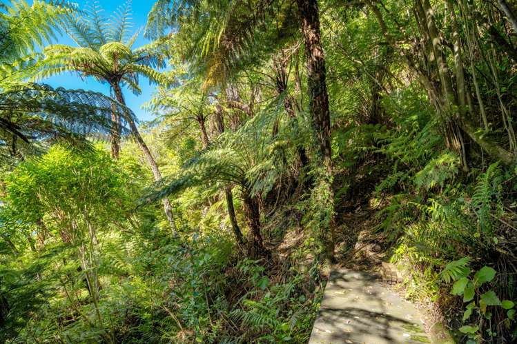 Lot 1 Blackwood Bay Queen Charlotte Sound_16