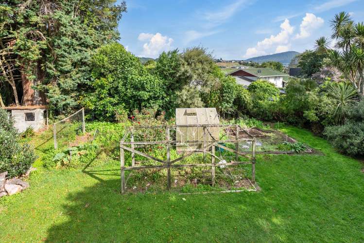 55 Utuhina Road Springfield_22