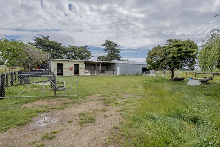 177 Mako Mako Road Levin_15