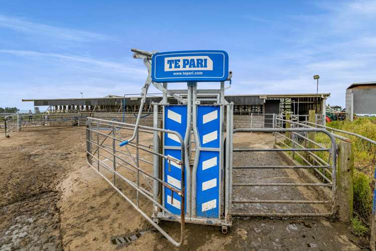 358 Opunake Road Cardiff_21