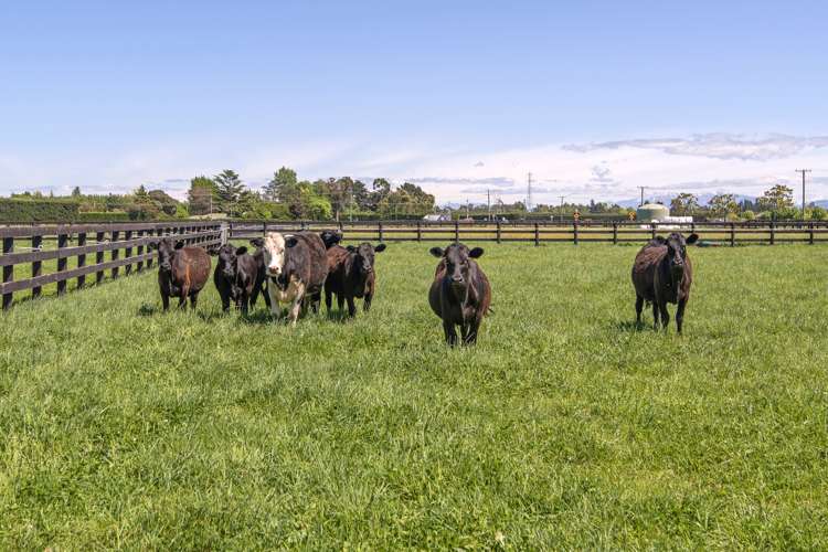 289 Johns Road Fernside_8