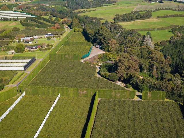 172 Maungarangi Road Te Puke_2