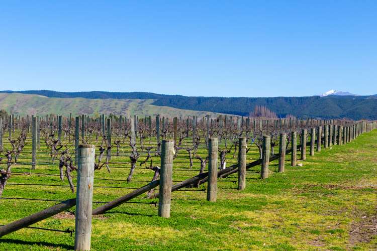 97 Shandon Road Waihopai Valley_12