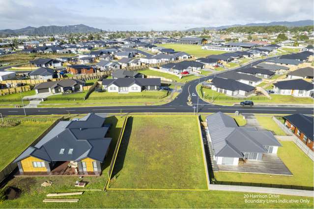 123 Wairau Drive & 20 Harrison Drive Tikipunga_1