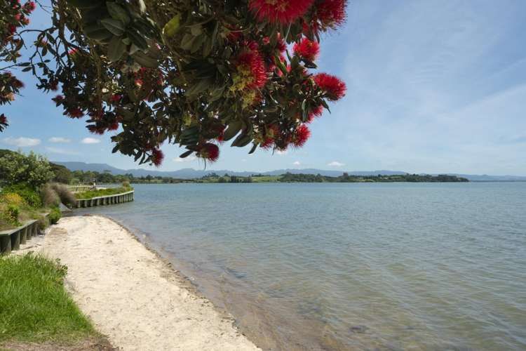 262 Hamurana Road Omokoroa_36