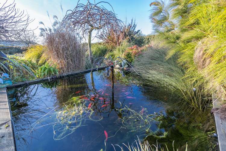 17 Devine Drive Rolleston_17