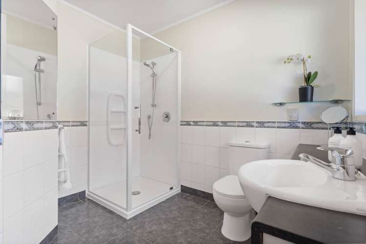 28 Carlton Street Hillsborough_13