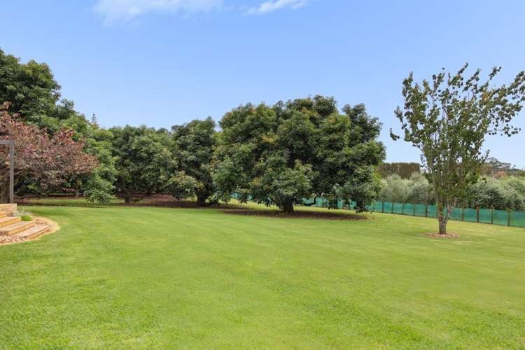 527 Omanawa Road Lower Kaimai_18