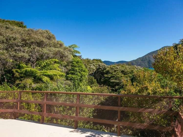 Miro Bay Marlborough_12