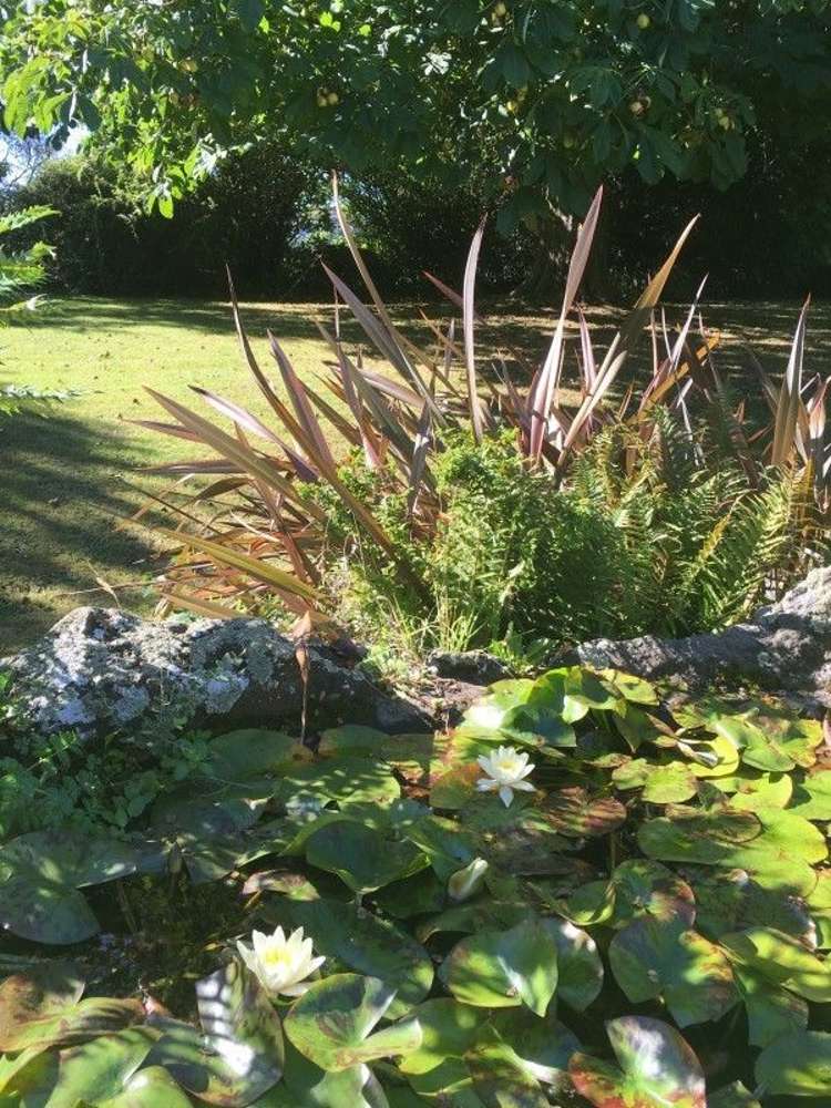 91 Kippenberger Avenue Rangiora_15