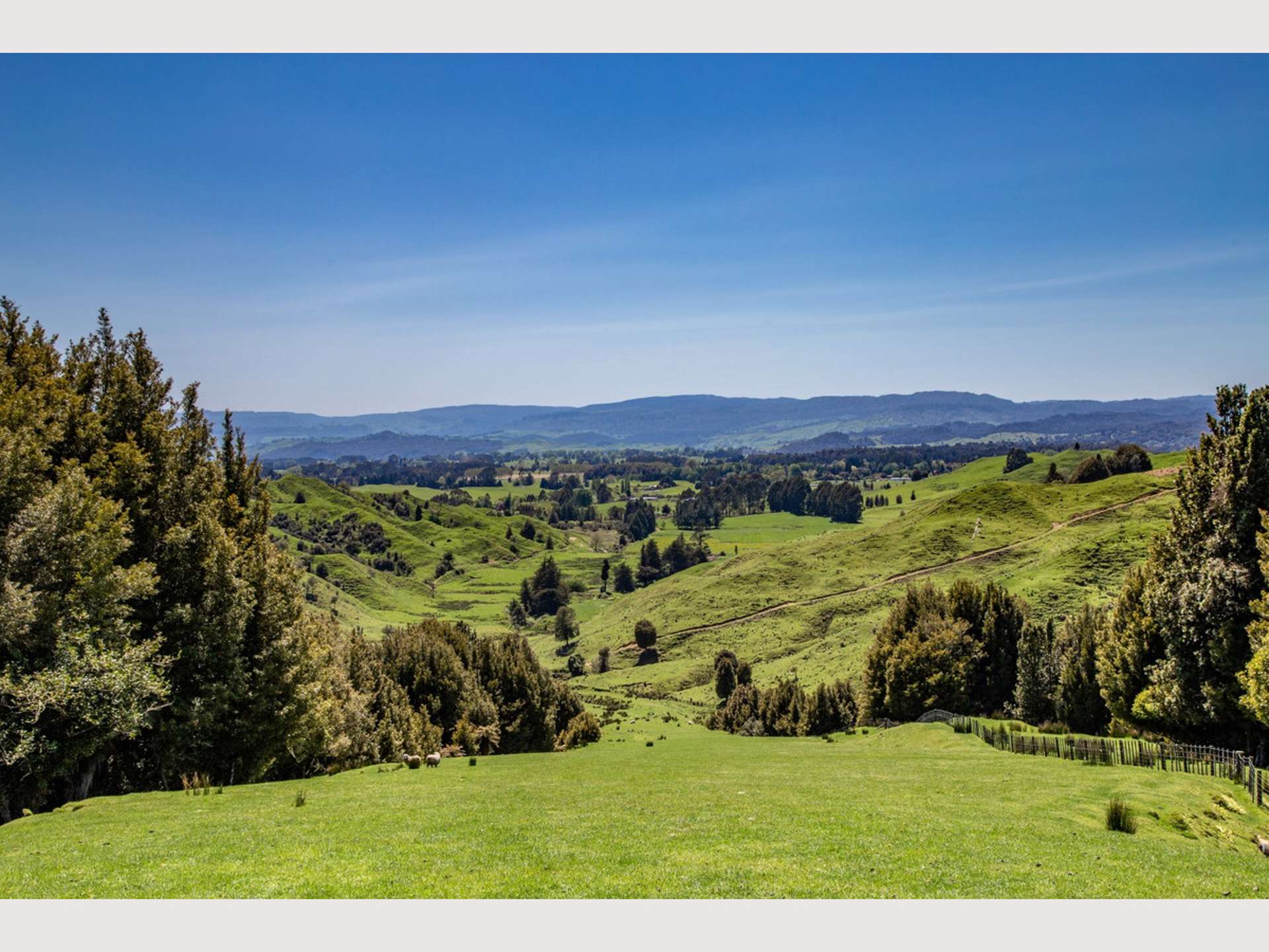 314 Kawautahi Road Owhango_0