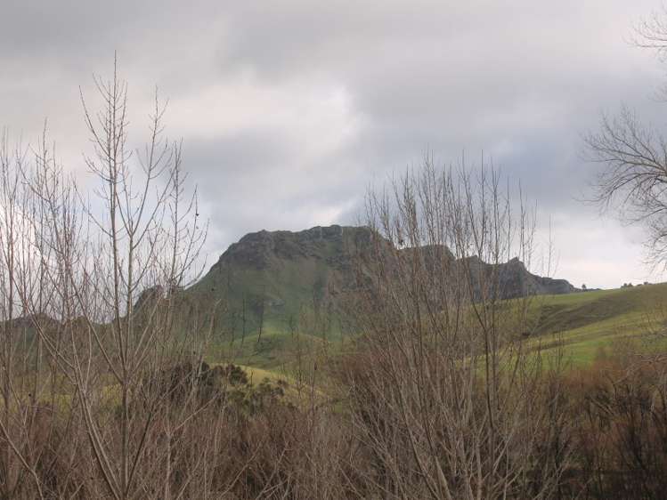 1372 Tuki Tuki Road Central Hawkes Bay Coastal_21