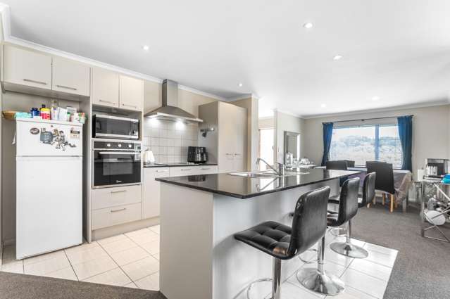 9 Savona Drive Flat Bush_1