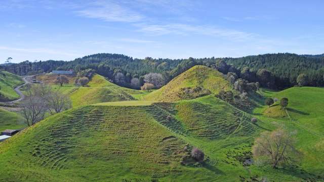 114 Otumahi Lane Whakatane_4