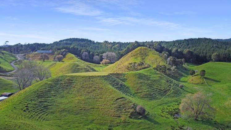 114 Otumahi Lane Whakatane_4