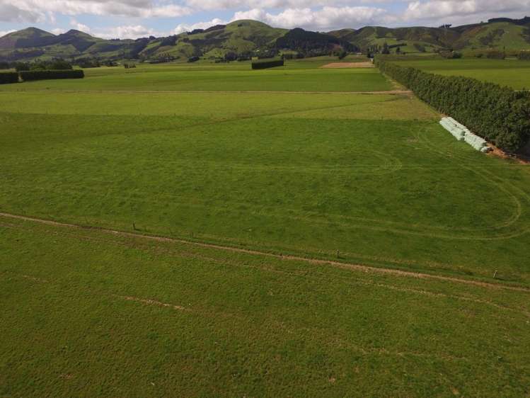 510 Gladstone Road South Allanton_7