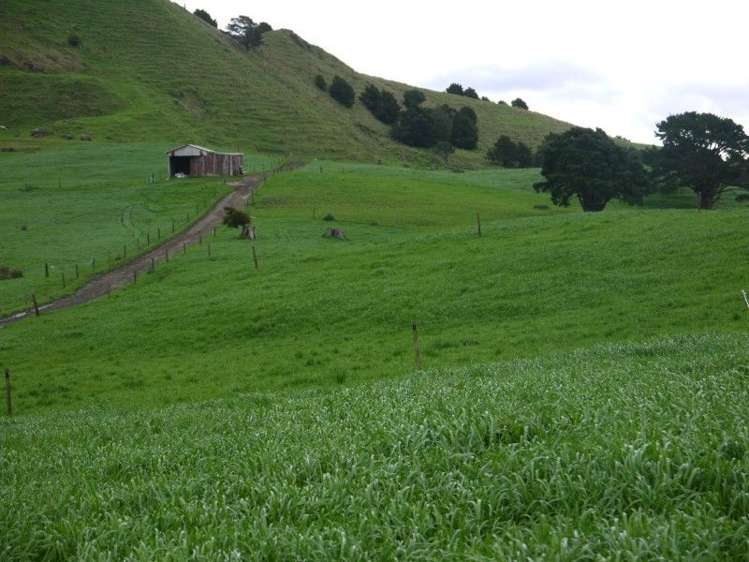 259 Waimata Road Dargaville Surrounds_18