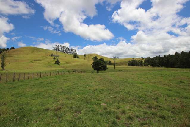 State Highway 1 Kaitaia_1