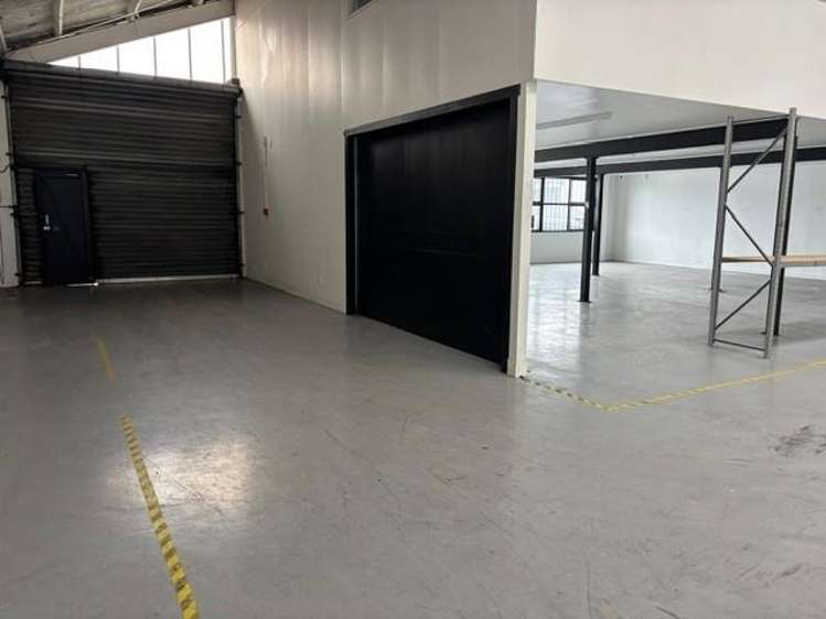 105 Wordsworth Street Sydenham_6