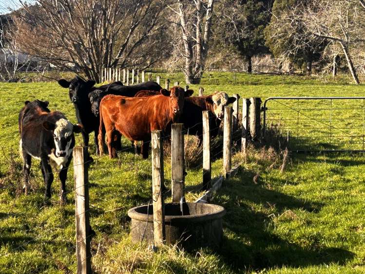 1724 State Highway 3 Uruti_8