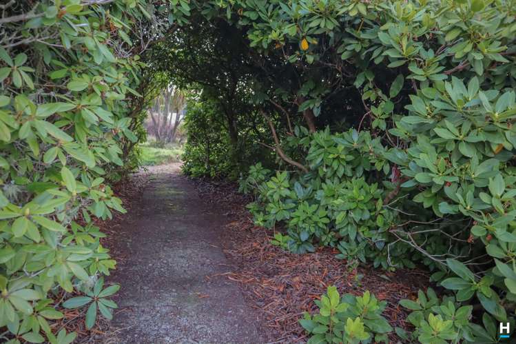 829 Nelson Creek Road Hochstetter_32