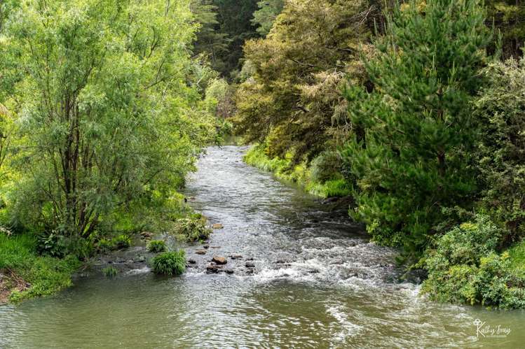 27 Donnellys Station Rd Donnellys Crossing_33