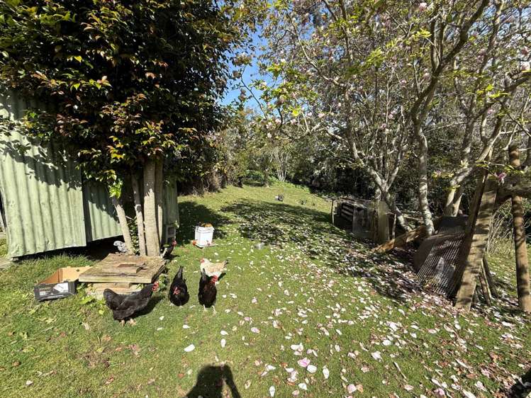 244 Point View Drive East Tamaki Heights_19