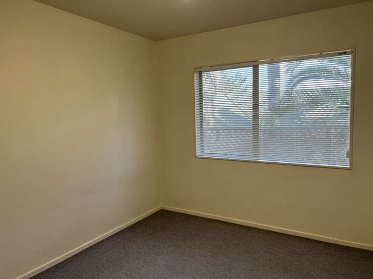 6b Reynolds Road Pukekohe_4