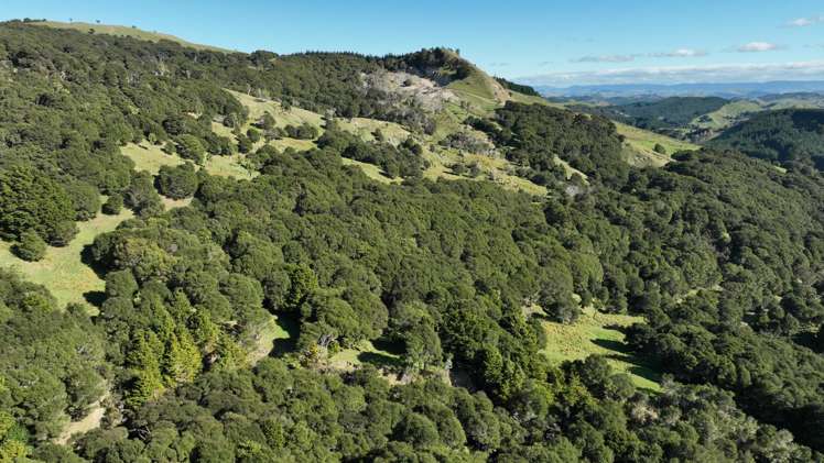 1550 Glenora Road Akitio_40