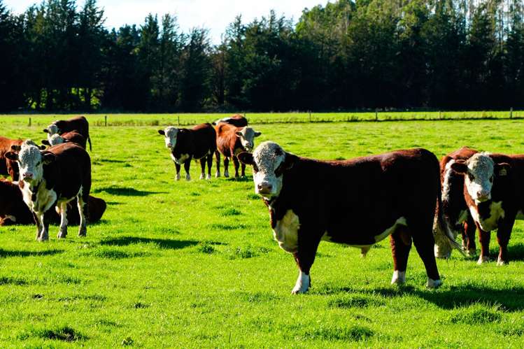 525 Woodlands-Morton Mains Road Morton Mains_12