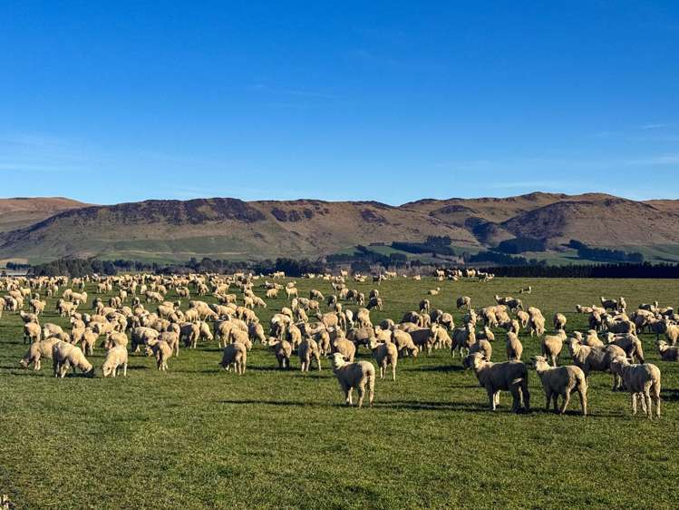 130 Warr Road Balfour_6