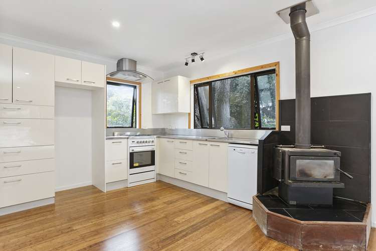 33b Landing Road Titirangi_7