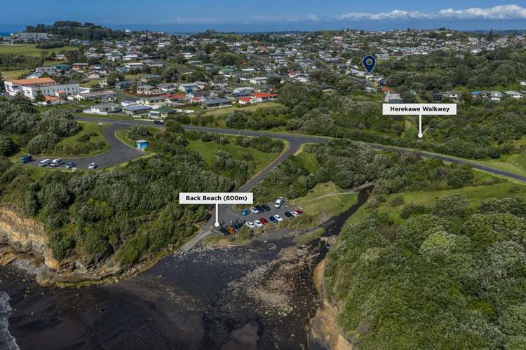 37 Herekawe Drive Spotswood_33