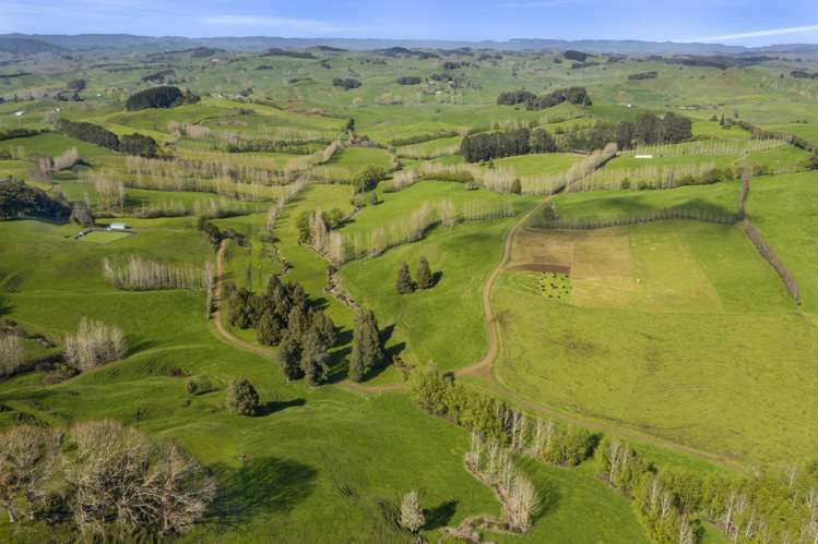 95 Mairoa Road Piopio_13