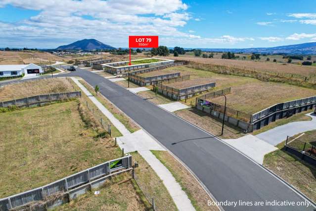 Lot 79, 246 Highland Crescent, Frontier Estate Te Awamutu_4