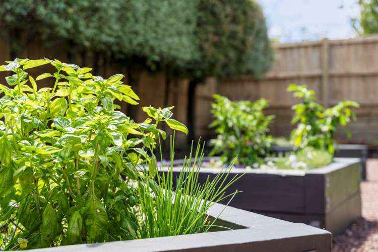 17 Heyington Way East Tamaki Heights_30