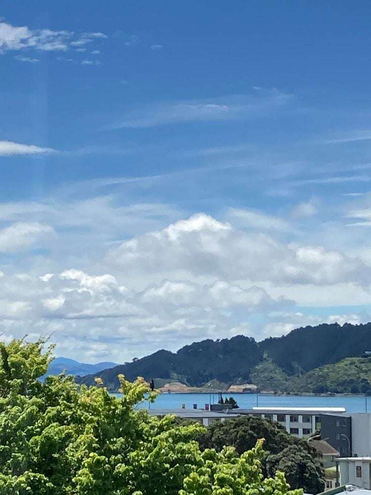 26 Childers Terrace Kilbirnie_2