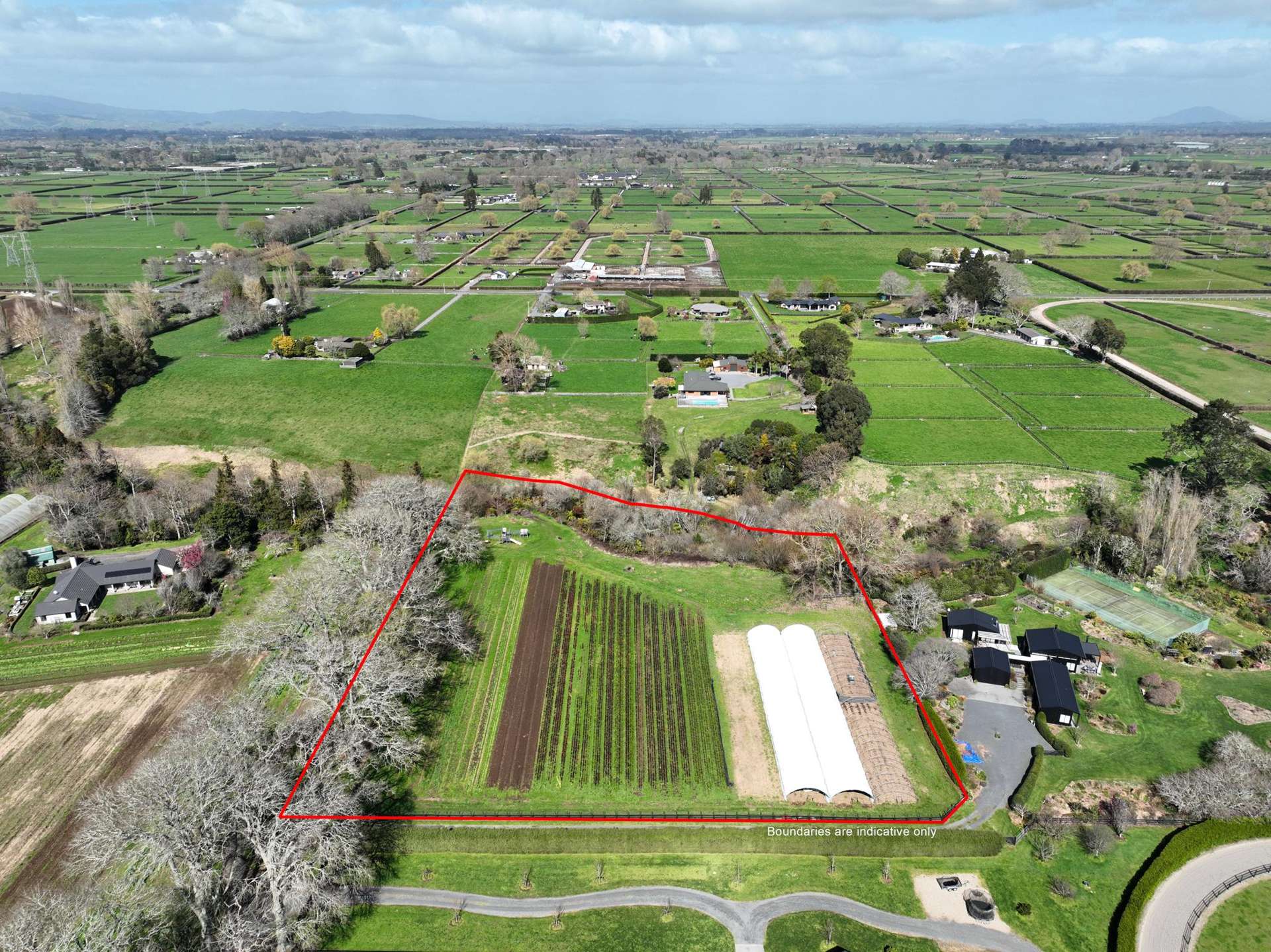 491D Bruntwood Road Tamahere_0