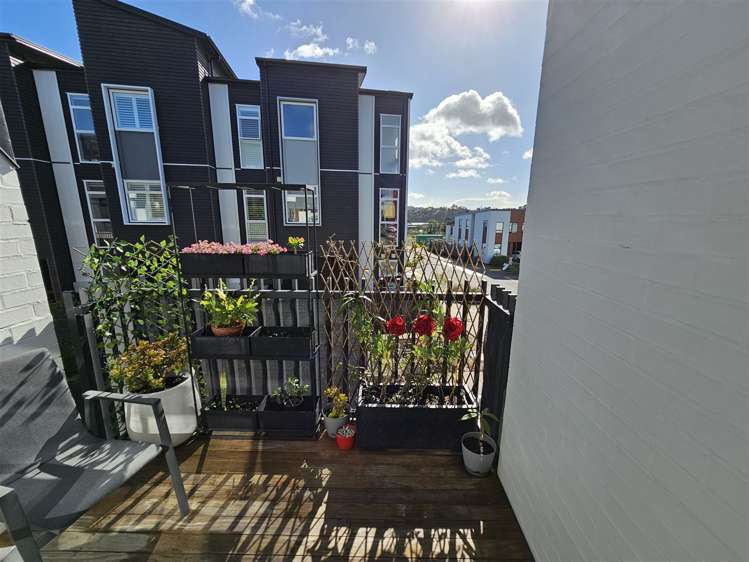 2 Mayfly Lane Hobsonville_11