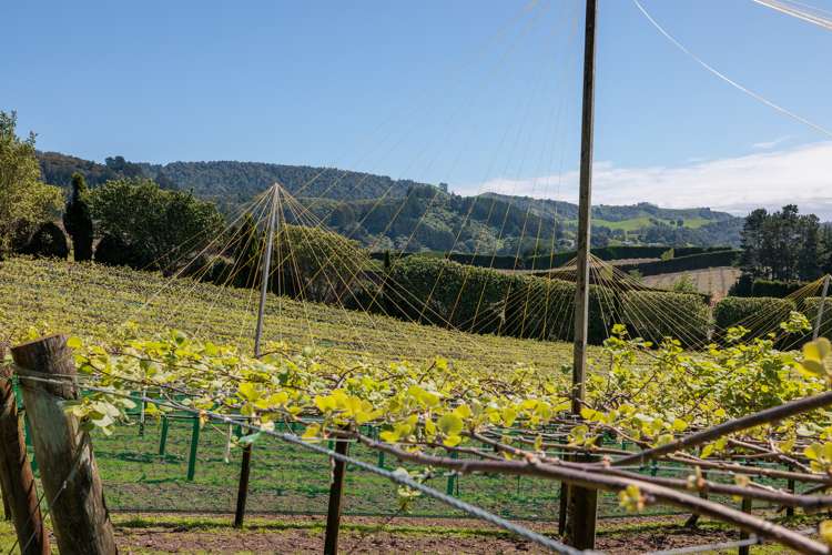 388 Manoeka Road Te Puke_22