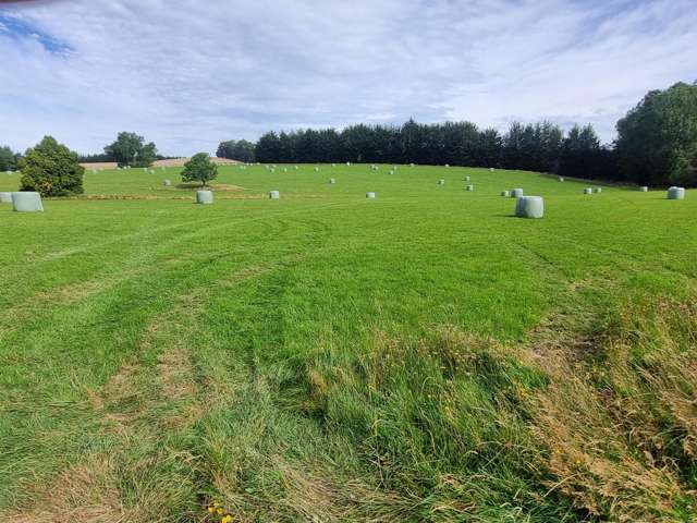 Falla Burn Road, Manuka Gorge Milton_1