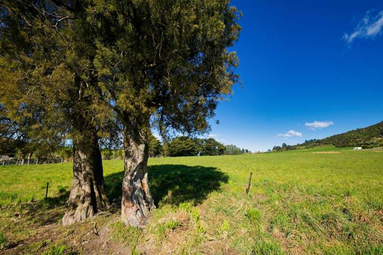 53 Grange Road Kaikoura_16