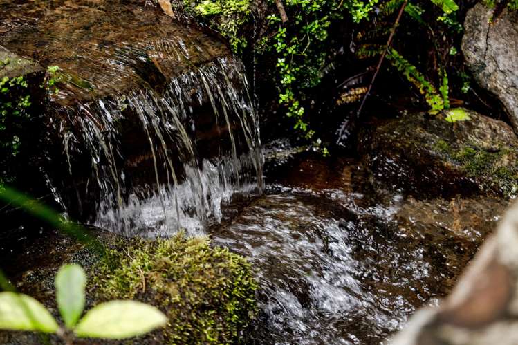 3454 State Highway 6 Barrytown_8